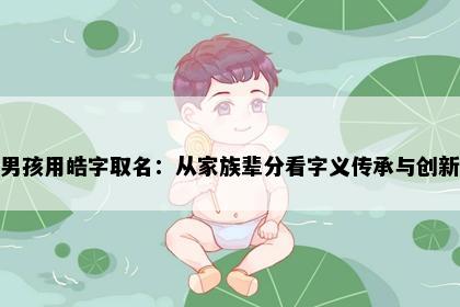 男孩用皓字取名：从家族辈分看字义传承与创新