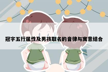 冠字五行属性及男孩取名的音律与寓意结合