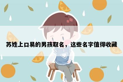 苏姓上口易的男孩取名，这些名字值得收藏