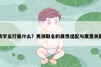 宸字五行属什么？男孩取名的属性适配与寓意关联