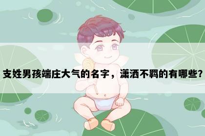 支姓男孩端庄大气的名字，潇洒不羁的有哪些？