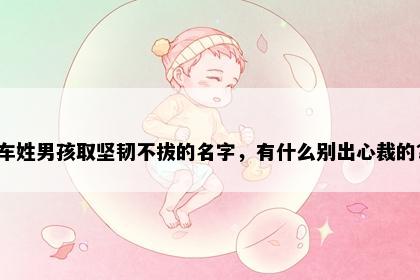 车姓男孩取坚韧不拔的名字，有什么别出心裁的？