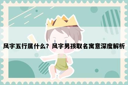 风字五行属什么？风字男孩取名寓意深度解析