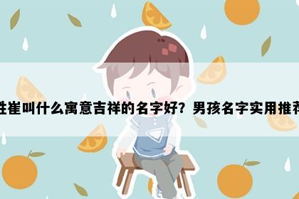姓崔叫什么寓意吉祥的名字好？男孩名字实用推荐