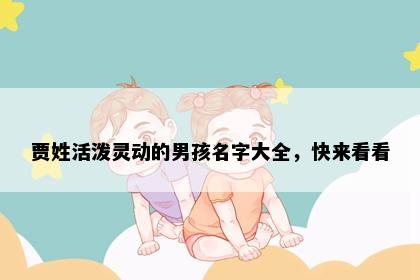 贾姓活泼灵动的男孩名字大全，快来看看