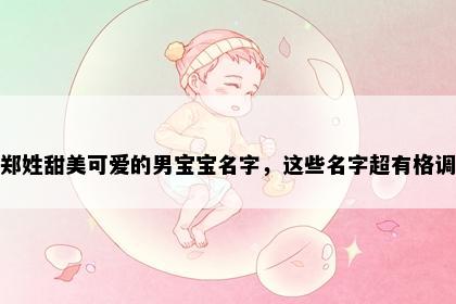 郑姓甜美可爱的男宝宝名字，这些名字超有格调