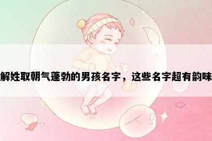 解姓取朝气蓬勃的男孩名字，这些名字超有韵味
