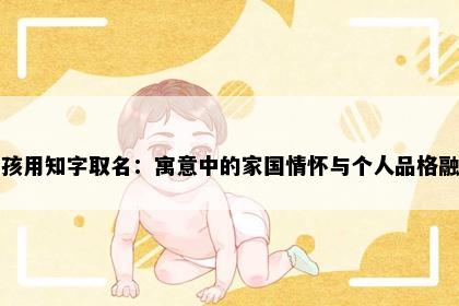 男孩用知字取名：寓意中的家国情怀与个人品格融合