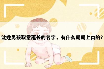 沈姓男孩取意蕴长的名字，有什么朗朗上口的？