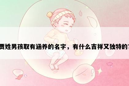 贾姓男孩取有涵养的名字，有什么吉祥又独特的？