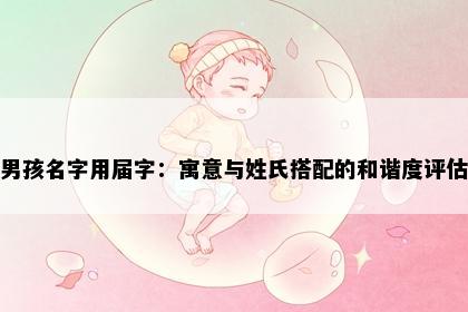 男孩名字用届字：寓意与姓氏搭配的和谐度评估