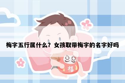 梅字五行属什么？女孩取带梅字的名字好吗