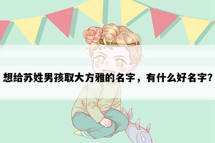 想给苏姓男孩取大方雅的名字，有什么好名字？