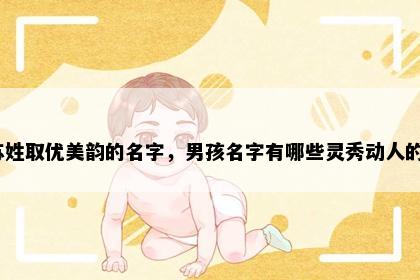 苏姓取优美韵的名字，男孩名字有哪些灵秀动人的？