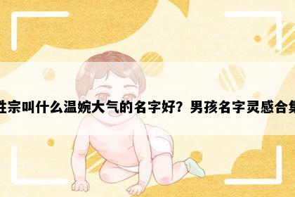 姓宗叫什么温婉大气的名字好？男孩名字灵感合集