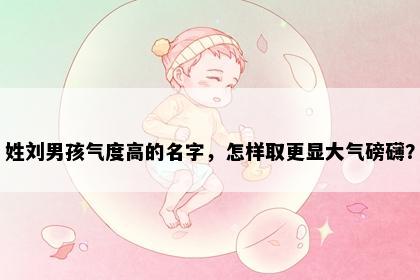 姓刘男孩气度高的名字，怎样取更显大气磅礴？