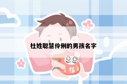 杜姓聪慧伶俐的男孩名字